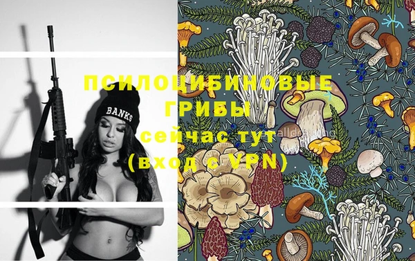 метадон Алексеевка