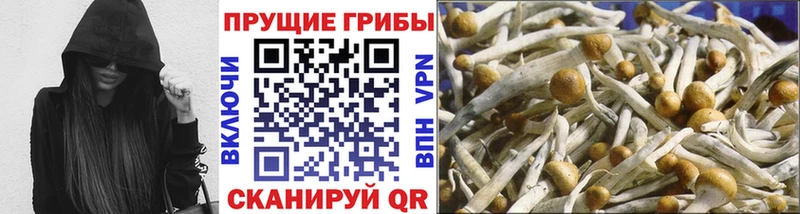 Псилоцибиновые грибы Magic Shrooms  MEGA сайт  Усинск 